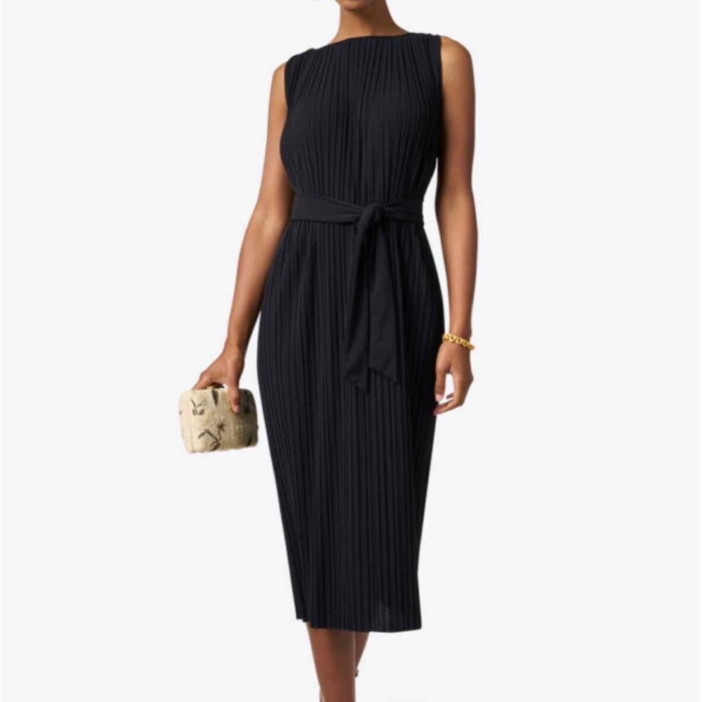 Max Mara Edile Pleated Jersey Dress WITHOUT BELT